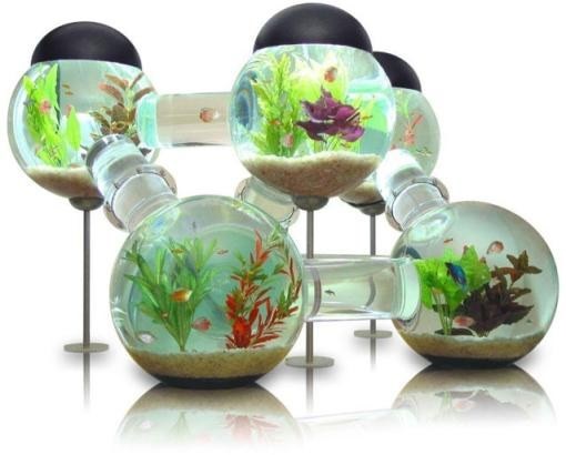 Как открыть аквариумный бизнес