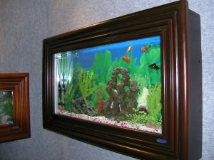 Aquariumn Frame1