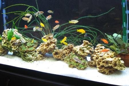 аквариум с грунтом в виде песка