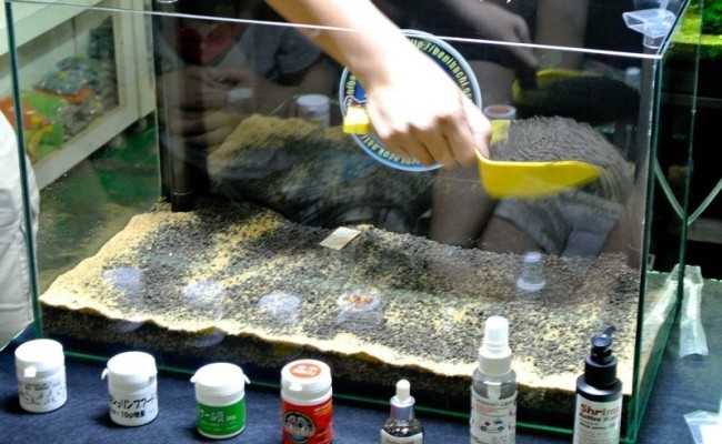 Выкладка грунта в аквариум.
