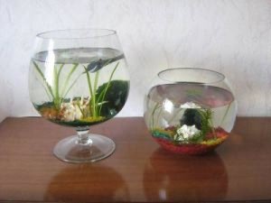 разновидности аквариумов