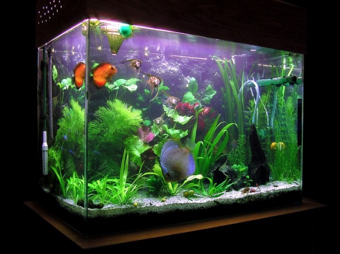Как правильно установить аквариум