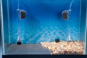 внутренние аквариумные фильтры