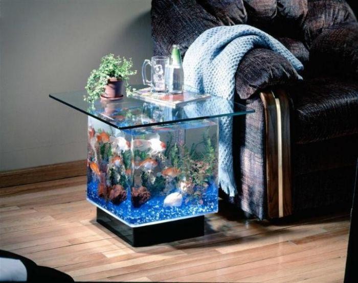маленький аквариум 