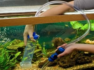 Как чистить аквариум в домашних условиях