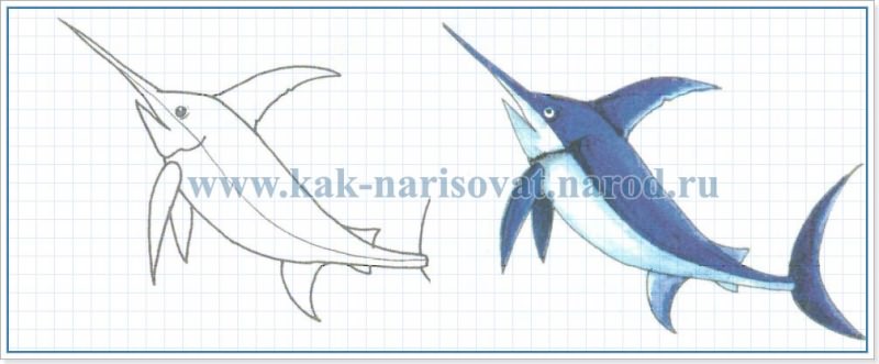 Как нарисовать карандашом меч рыбу