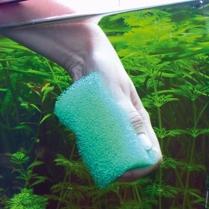 Как чистить стекла аквариума