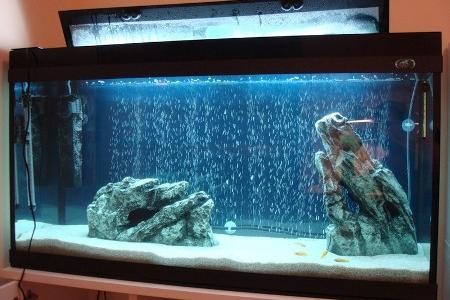 аквариум с песком в виде грунта