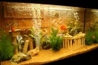 Как украсить аквариум 10