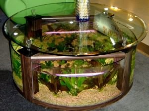 декоративный аквариум