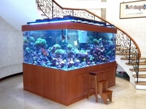замкнутый аквариум