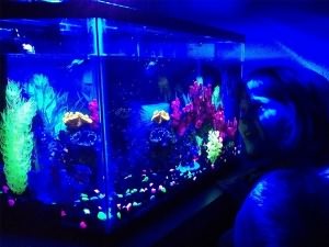 Люминесцентная лампа для аквариума