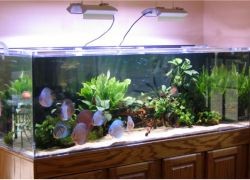 Освещение аквариум