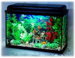 аквариум 20 литров