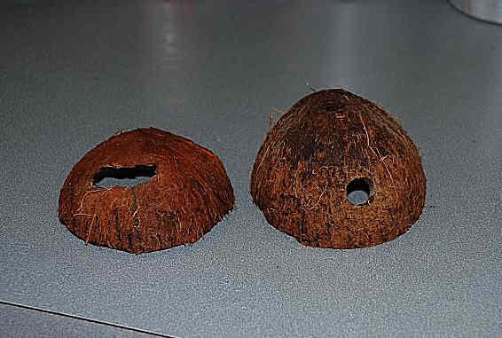 разрезанный кокос