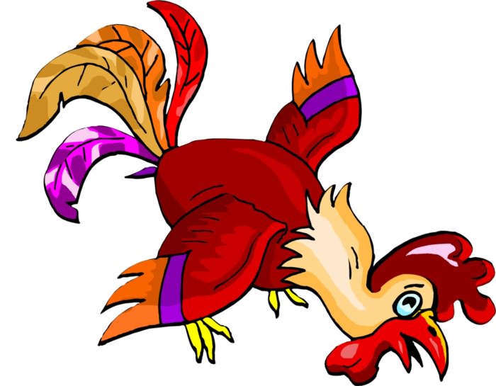 ! -chicken-rooster-RO (700x545, 214Kb)