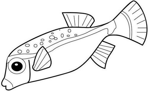 Шаблоны рыбок для рисования