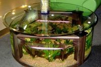 Стол аквариум 9
