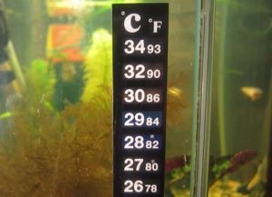 термометр для аквариума3