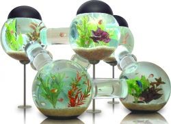 сколько отстаивать воду для аквариума