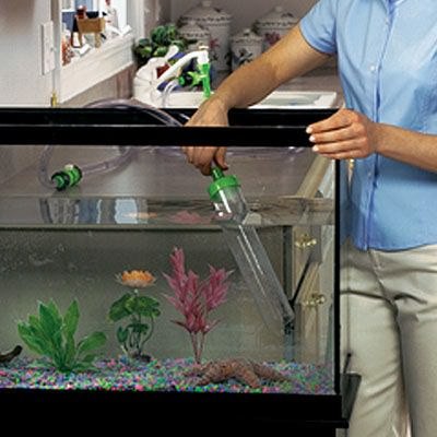 подмена воды в аквариуме