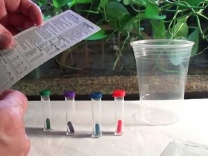 удобрения для аквариумных растений своими руками