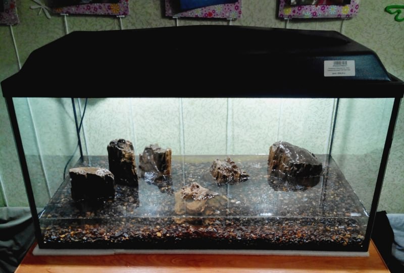 камни для аквариума