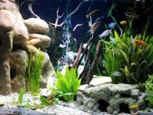 декоративные камни в аквариуме