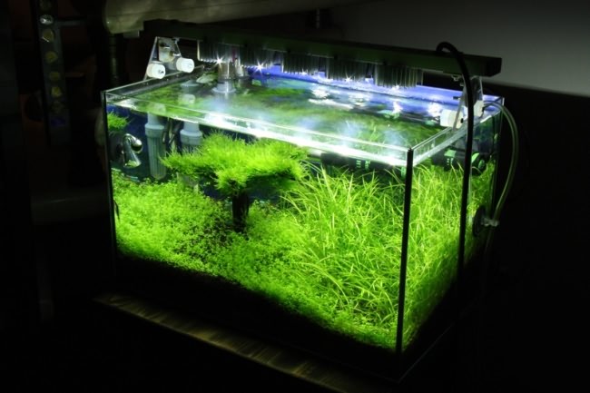 Освещение аквариума на светодиодах своими руками.